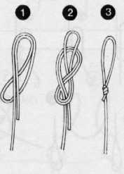 8noji.jpg (13438 �o�C�g)