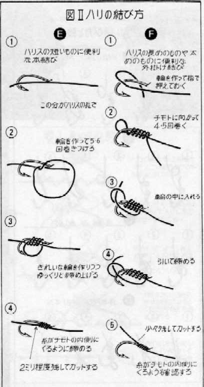 harinot.jpg (82697 �o�C�g)